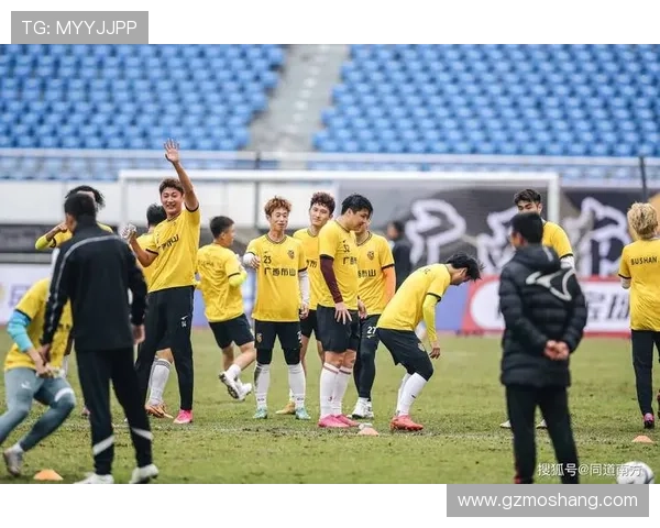 中国足球联赛迎来新赛季 多支球队引入强援争夺冠军荣誉 中国足球联赛迎来新赛季 多支球队引入强援争夺冠军荣誉