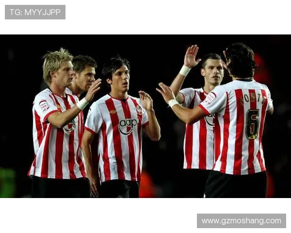 南安普顿足球俱乐部发展历程与未来挑战探讨