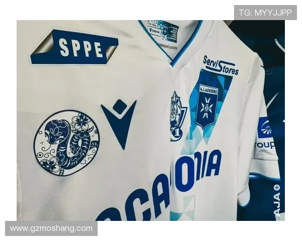 欧塞尔足球俱乐部历史沿革与未来发展潜力分析 欧塞尔足球俱乐部历史沿革与未来发展潜力分析