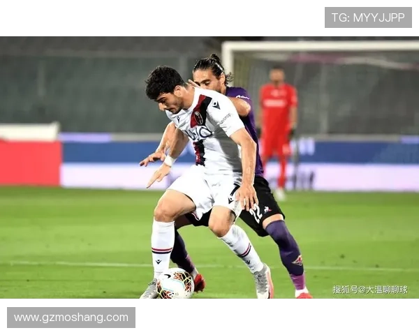 从意甲新军到稳步崛起的蒙扎足球俱乐部发展全景解析战略与未来展望