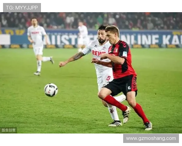 以汉堡俱乐部为核心的城市足球文化与竞技复兴之路探索发展愿景研究