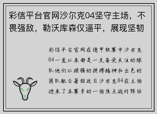 彩信平台官网沙尔克04坚守主场，不畏强敌，勒沃库森仅逼平，展现坚韧实力 - 副本